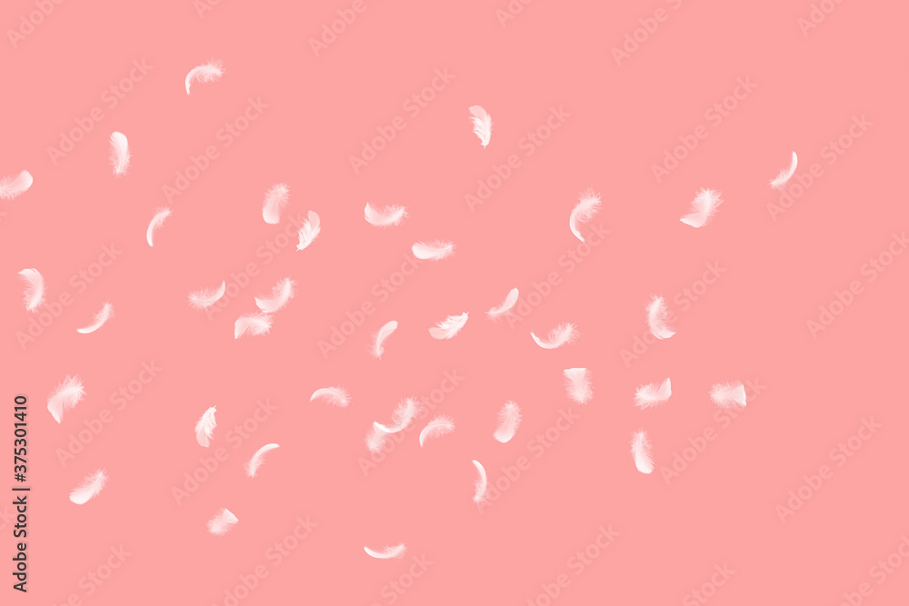 Feather abstract freedom concept. Group of light fluffy a white feathers floating in the air. Pink background.