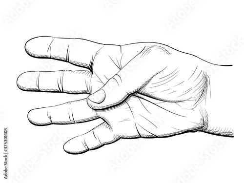 Palm with four fingers extended. Black and white drawing. photo
