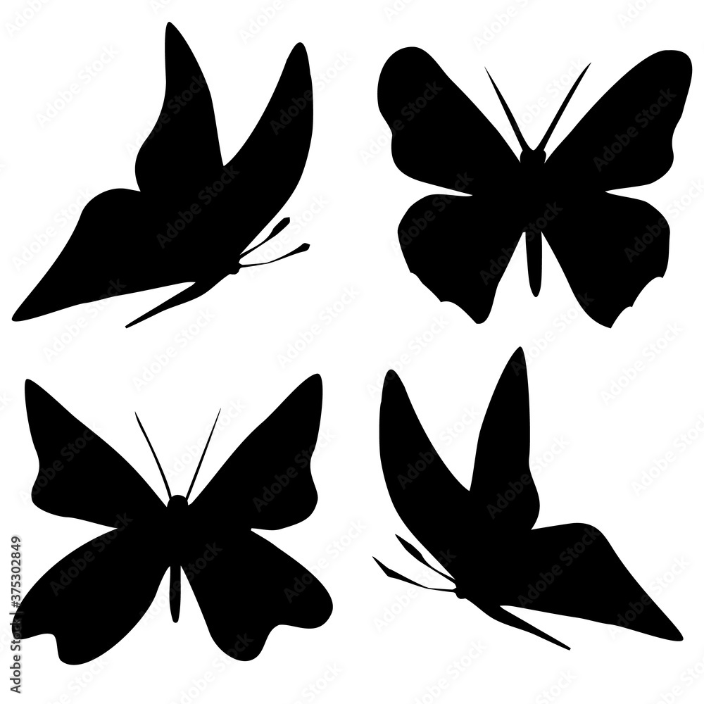 Set of black butterflies in sketch style on white background. Butterfly outline on white background for decoration Set of black butterflies in sketch style on white background. Butterfly outline on white background for decoration