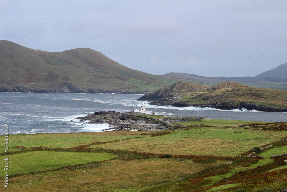 Irland Küsten Meer Weideland Ring of Kerry