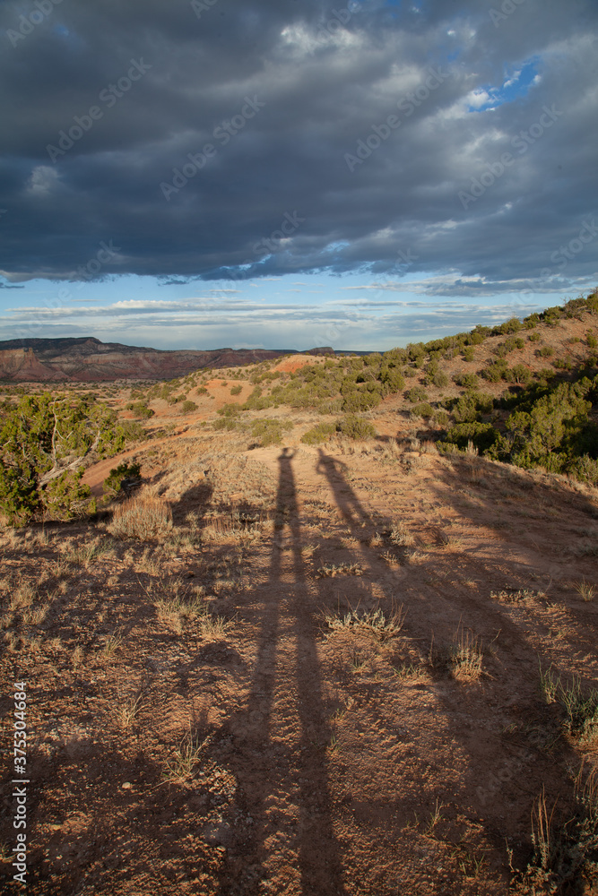shadows in the desert
