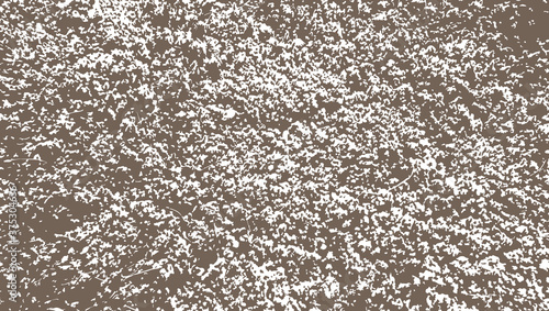 Texture of soft dry moss