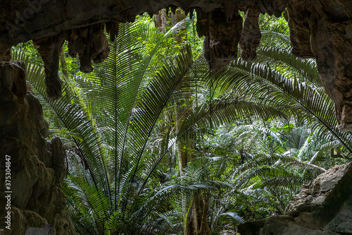 Hup Pa Tat Forest famous forest cave unseen Thailand at Lan Sak District Uthai Thani, Thailand. photo