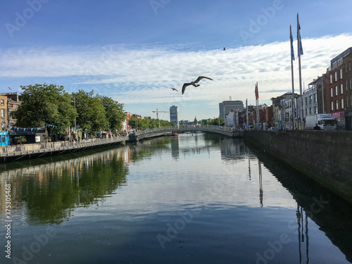 Photography Dublin Fluss Brücke Stadt Vogel