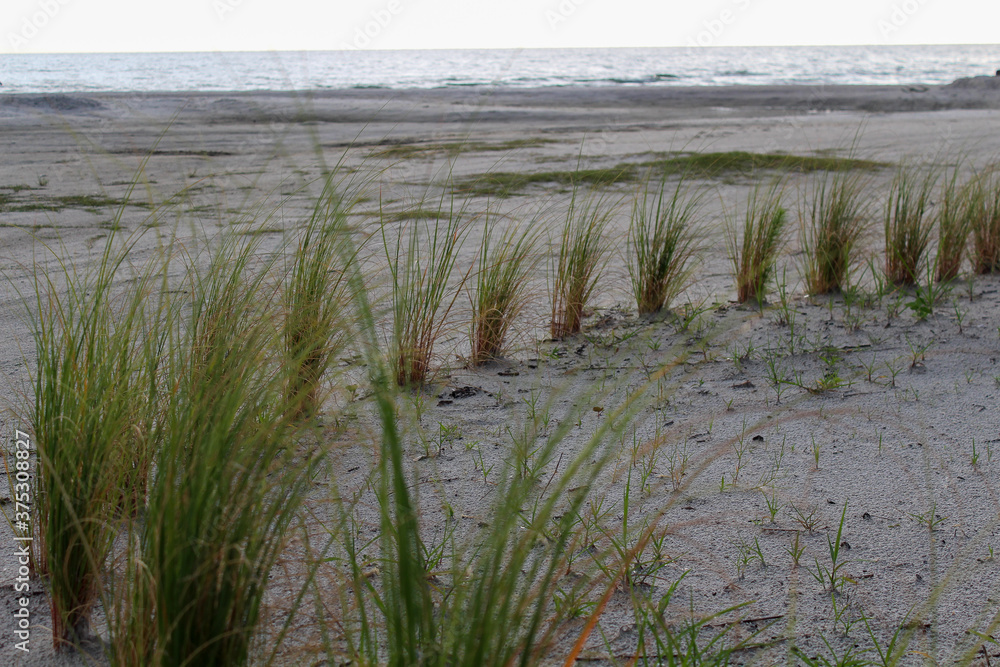 Strand Düne Meer Florida Wasser Gras Strand Düne Meer Florida Wasser Gras
