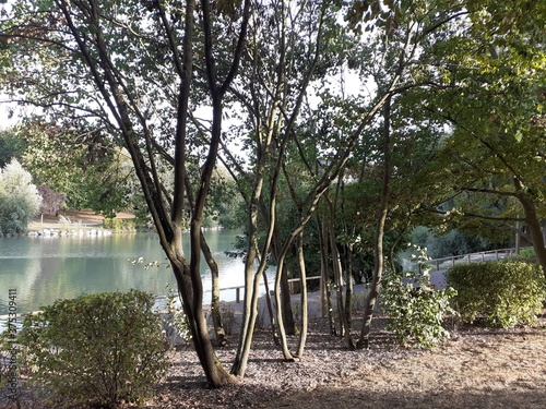 nature Rémoise
