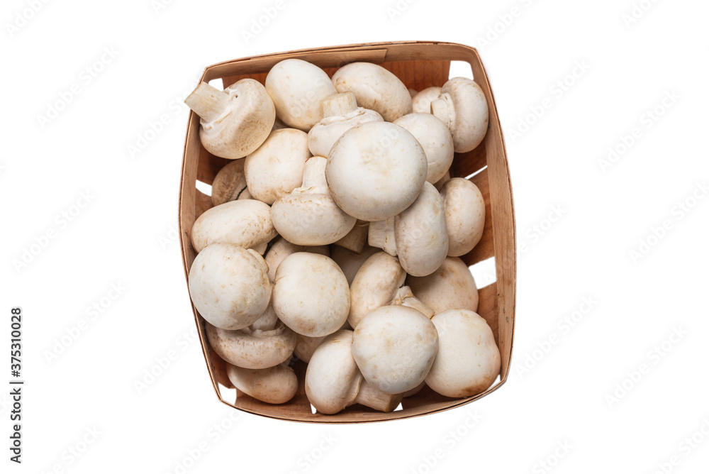 Champignon mushroom isolated on white background. Champignon mushroom isolated on white background.