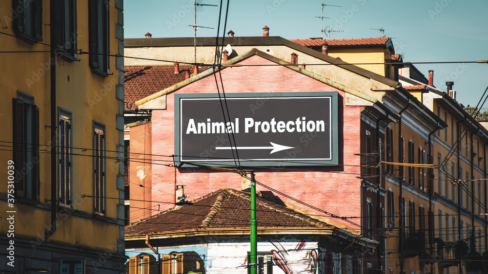 Street Sign to Animal Protection Street Sign to Animal Protection