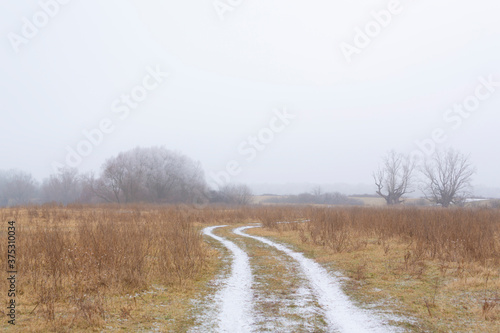 Beautiful country road covered with fresh snow and frost, in winter, in remote rural location