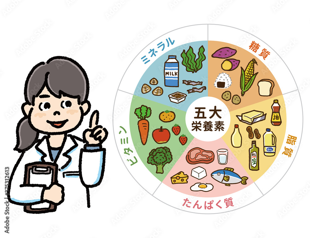 五大栄養素の表と管理栄養士のイラストb Stock Vektorgrafik Adobe Stock