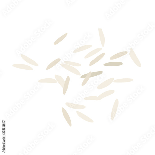 Rice grains isolated on white background. Vector