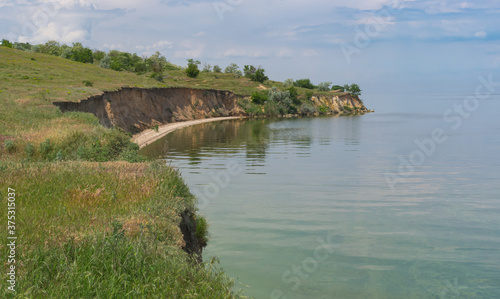 Fotografi Summer landscape with abrupt riverside on covered with greenish cyanobacterias D
