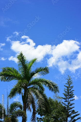 The blue sky with beautiful clouds on a sunny day.