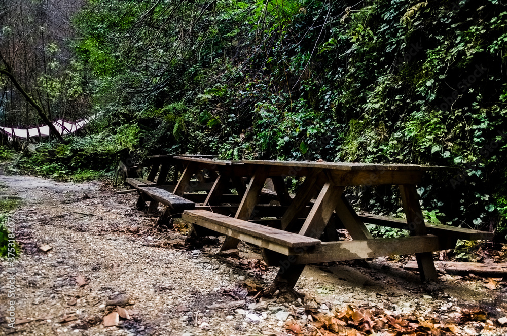 wooden bench in the park wooden bench in the park