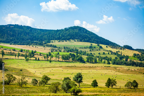 Pole łąka góry pagórki drzewa dolny śląsk © Dariusz