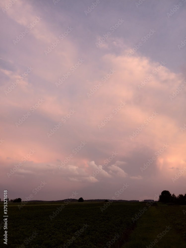 sunset over the field