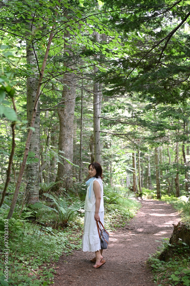 森の遊歩道を歩く女性 森の遊歩道を歩く女性
