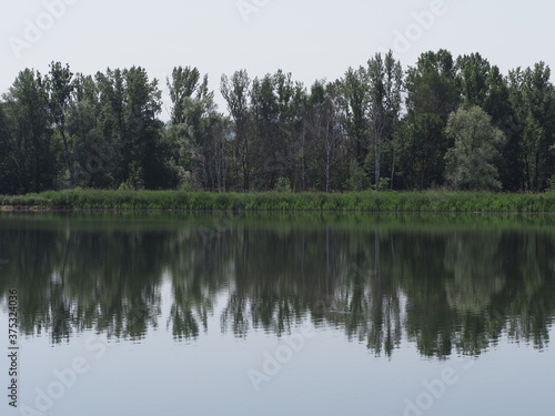 Forest reflected in waters of artificial lake in european Goczalkowice town at Silesian district in Poland, clear blue sky in 2020 warm sunny spring day on June.