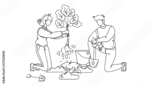 Man And Woman Volunteering Planting Tree Vector