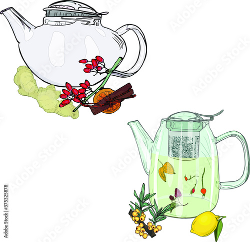 Vector illustration of a set of teapots with medicinal herbs, ginger, sea blackthorn, fezalis. Hot drinks illustration for printing on clothes, prints, postcards, wrapping paper