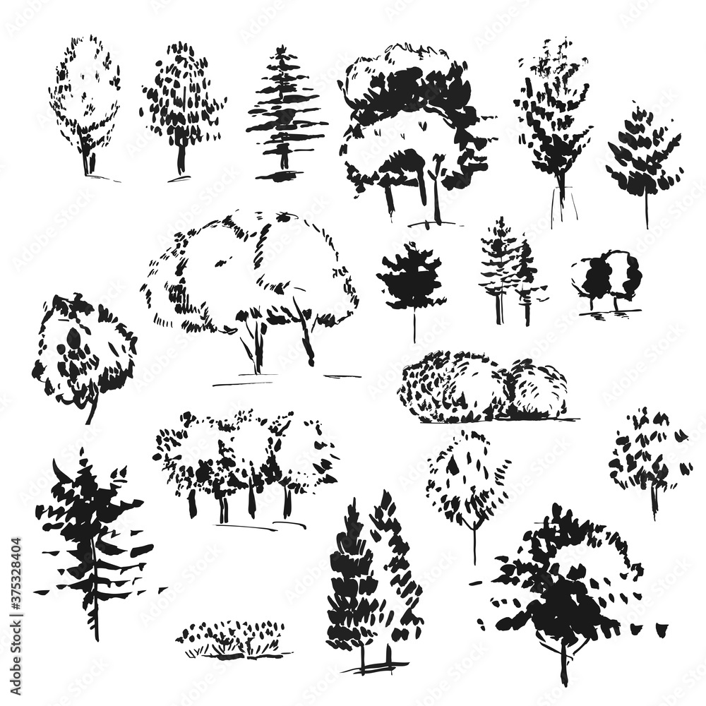 Set of ink tree silhouette. Hand drawn illustration isolated on white background. Vector