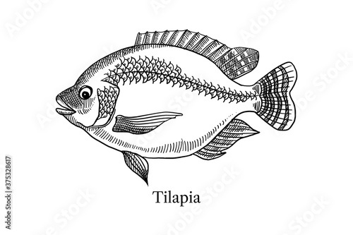 Печать