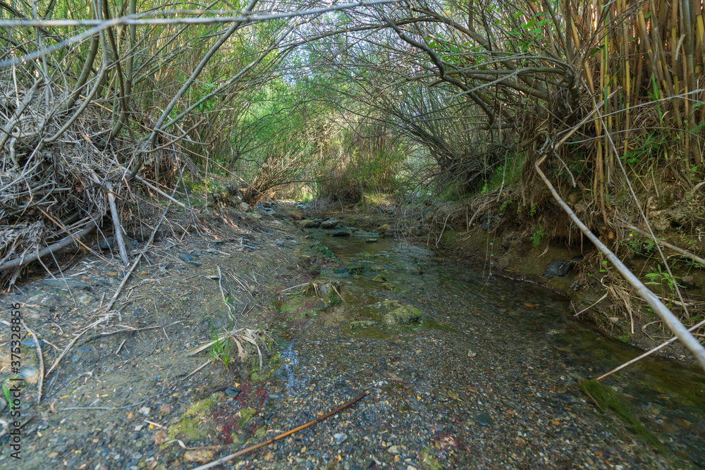 water flowing down the river in southern Spain