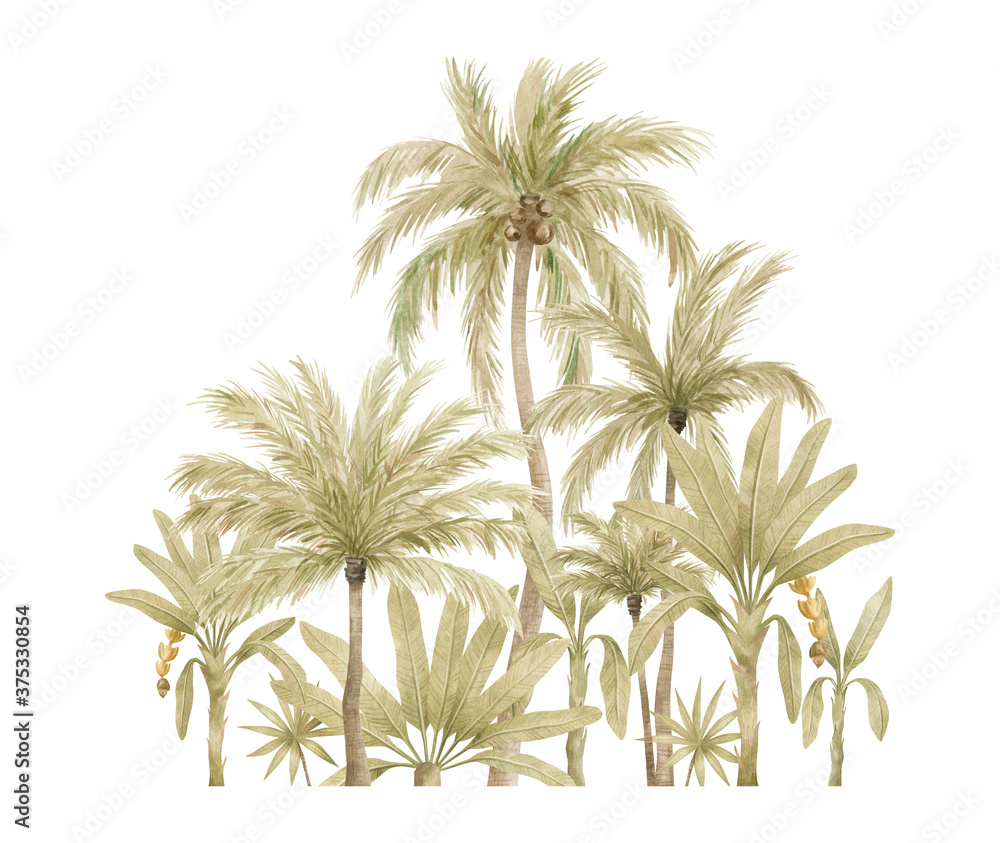 Watercolor compositions with palm tree in green color isolated on white ...