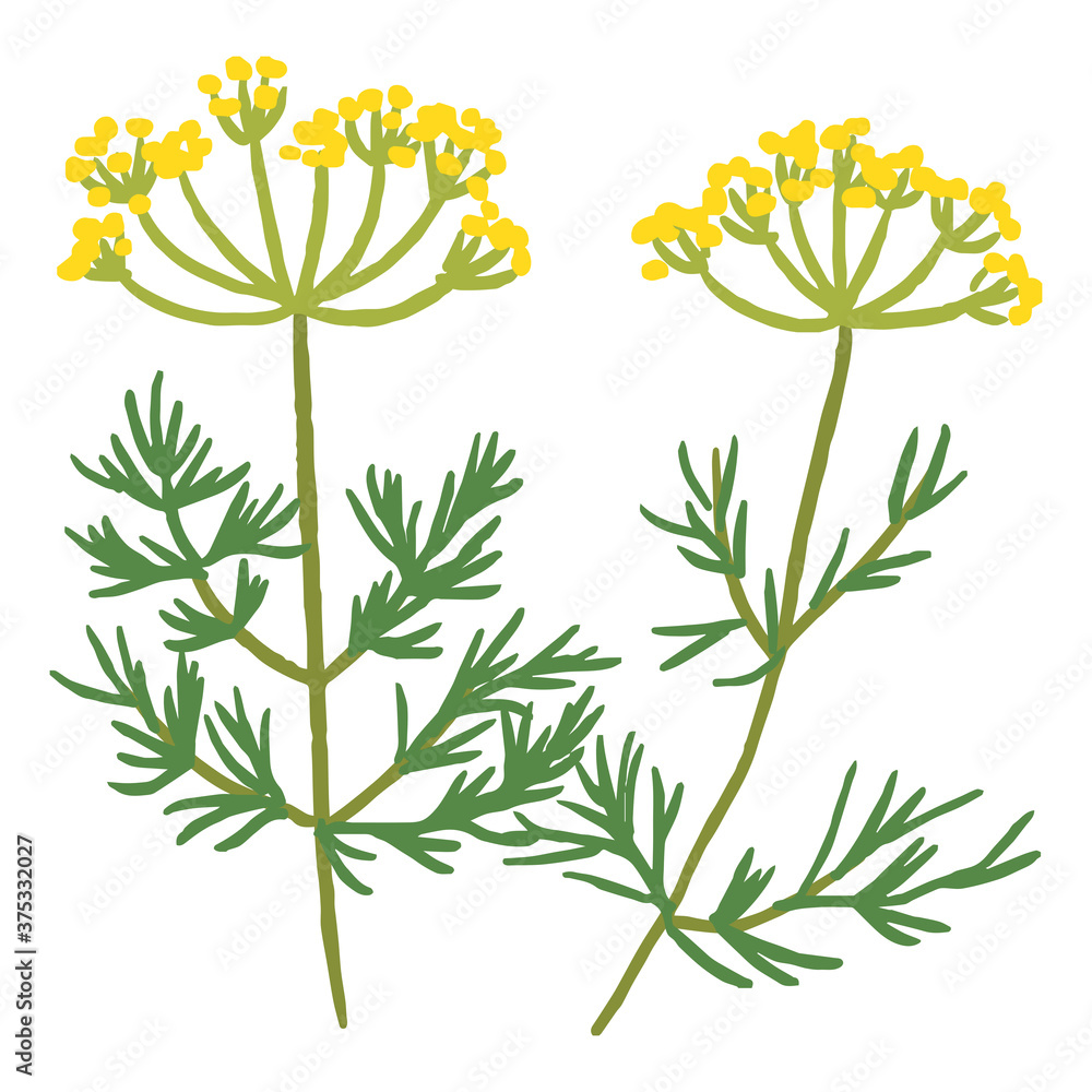 Naklejka premium ディル