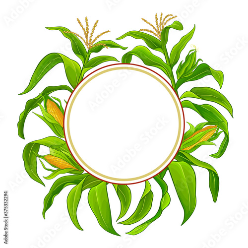 corn vector frame