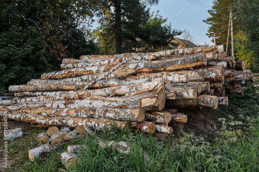 Woodpile of cut Lumber logs for forestry industry and preparation of firewood