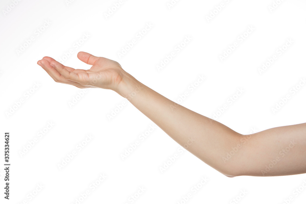 a woman's hand holding her palm up. a woman's hand holding her palm up.