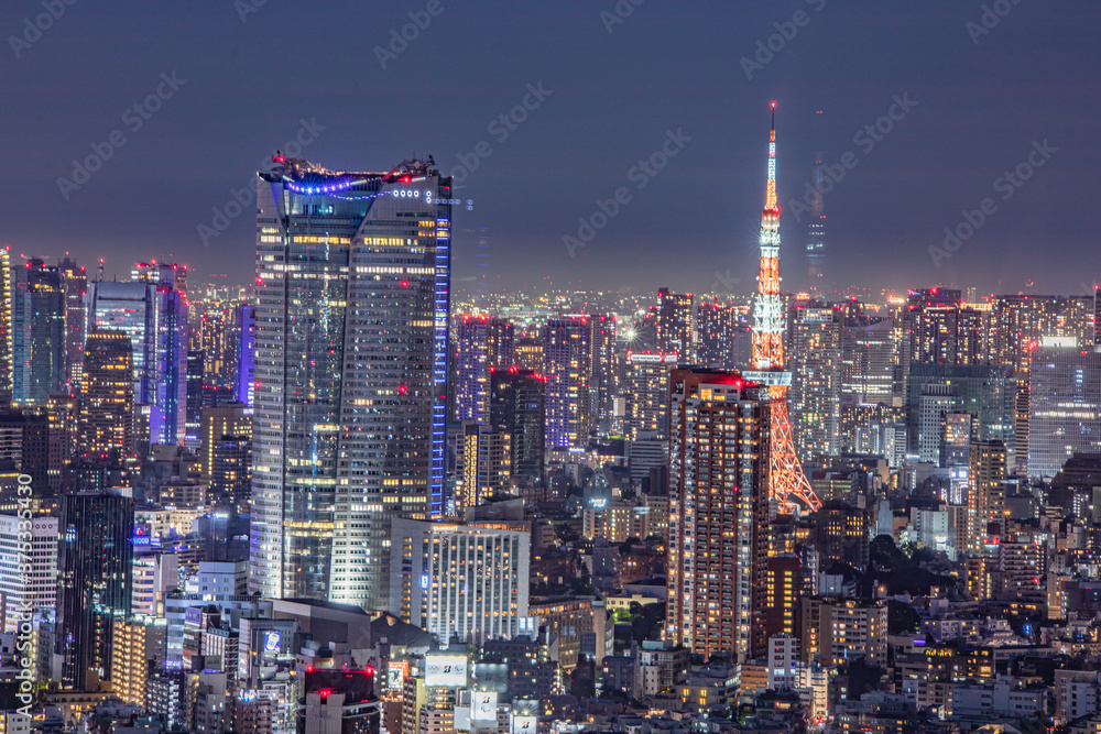 渋谷スカイからの夜景