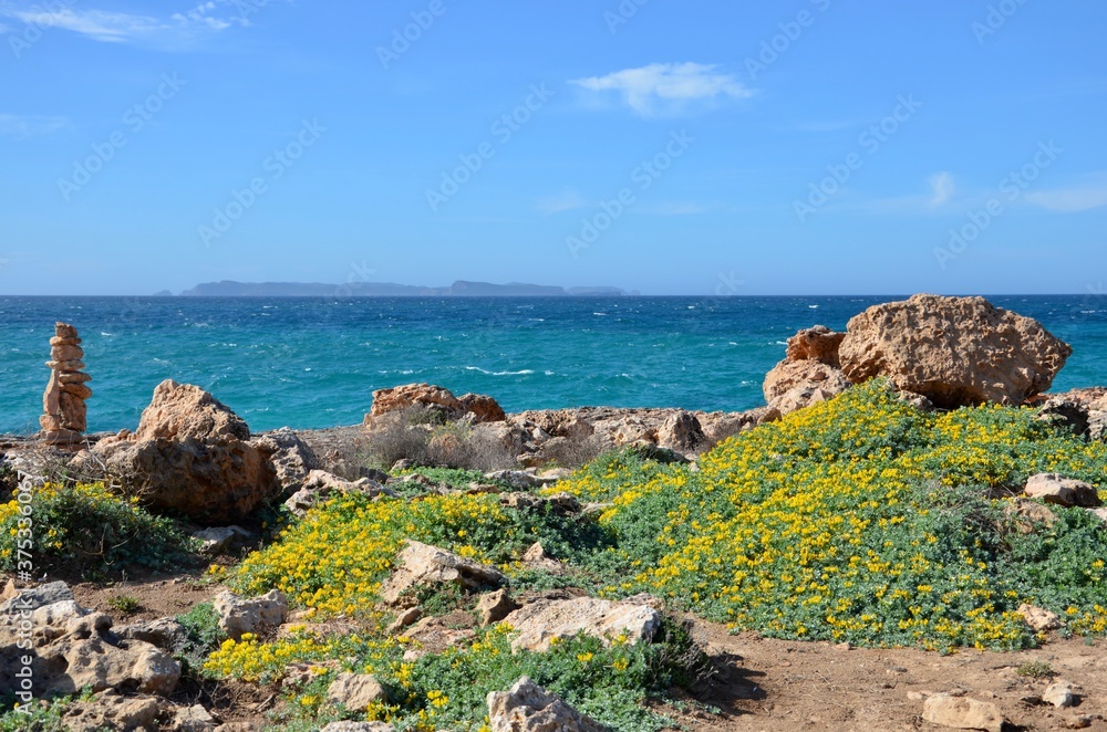Picturesque rocky coast in the south of Balearic island Mallorca, Spain, turquoise mediterranean sea, small yellow flowers on the ground, sunny day in spring, blue sky background, copy space Picturesque rocky coast in the south of Balearic island Mallorca, Spain, turquoise mediterranean sea, small yellow flowers on the ground, sunny day in spring, blue sky background, copy space