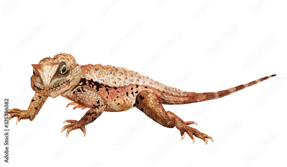 Naklejka premium Watercolor image of mountain dragon