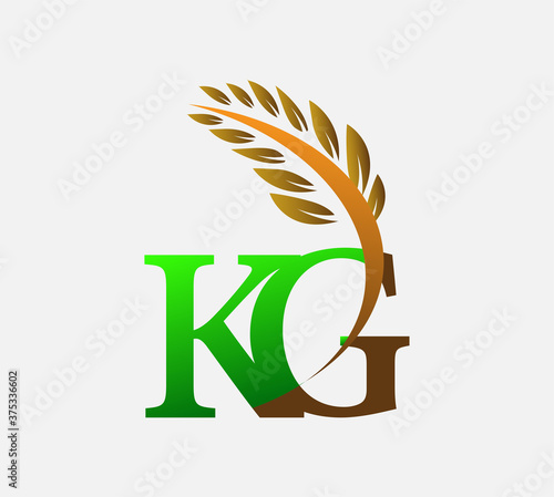 initial letter logo KG, Agriculture wheat Logo Template vector icon design colored green and brown.