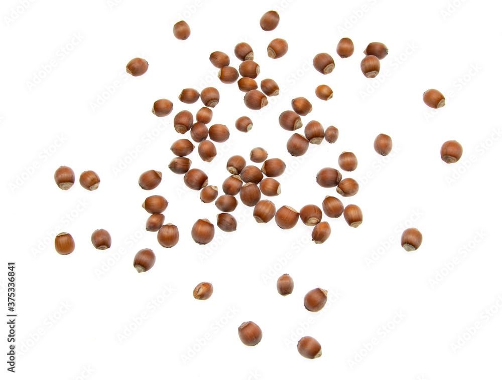fresh hazelnuts on white background fresh hazelnuts on white background