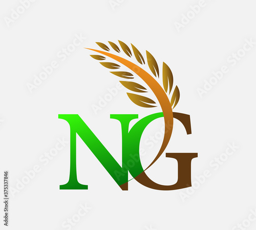 initial letter logo NG, Agriculture wheat Logo Template vector icon design colored green and brown. photo