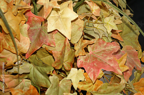 Colorful Background With Fall Leaves