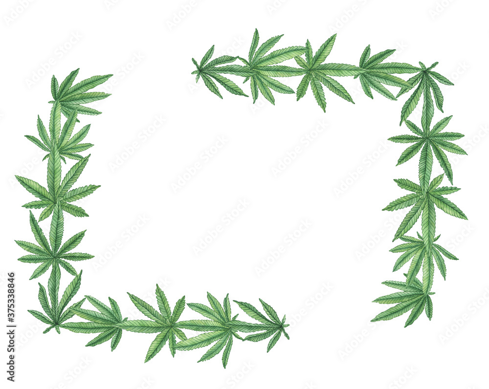 Fototapeta premium Watercolor decorative frame with big cannabis hemp leaves