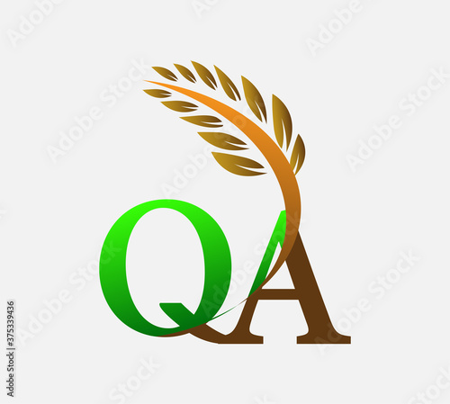 initial letter logo QA, Agriculture wheat Logo Template vector icon design colored green and brown.