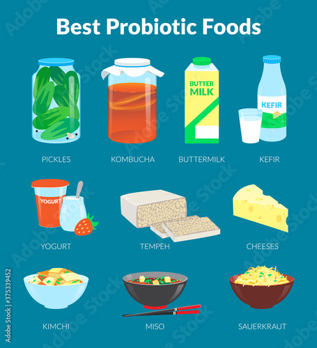 Probiotic Foods. Food rich in probiotics. Vector illustration.