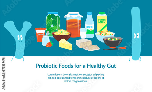 Probiotic Foods for a Healthy Gut. Banner template. Vector illustration.