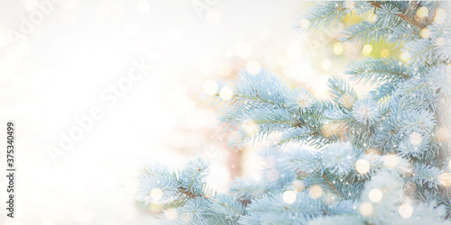 Christmas and New Year holidays background . © Vladimir