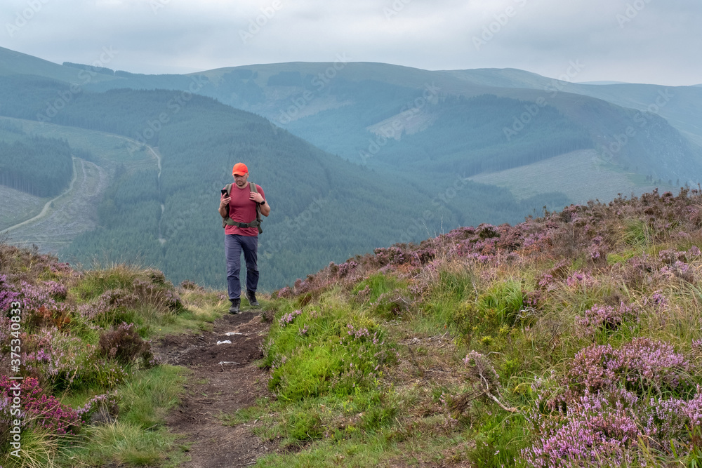 Tourist with backpack hike in Wicklow National Park