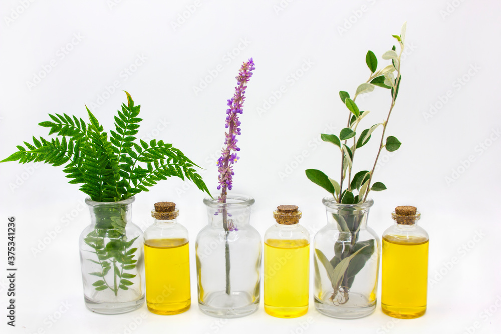 transparent glass bottles with plants and flowers and cones with oil on a white background transparent glass bottles with plants and flowers and cones with oil on a white background