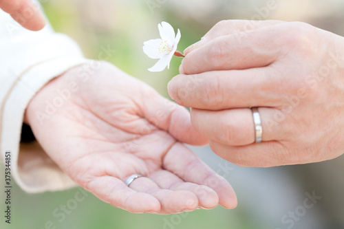 花びらを持つシニア夫婦