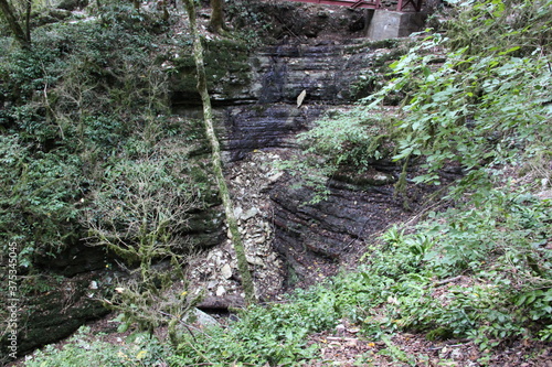 grove