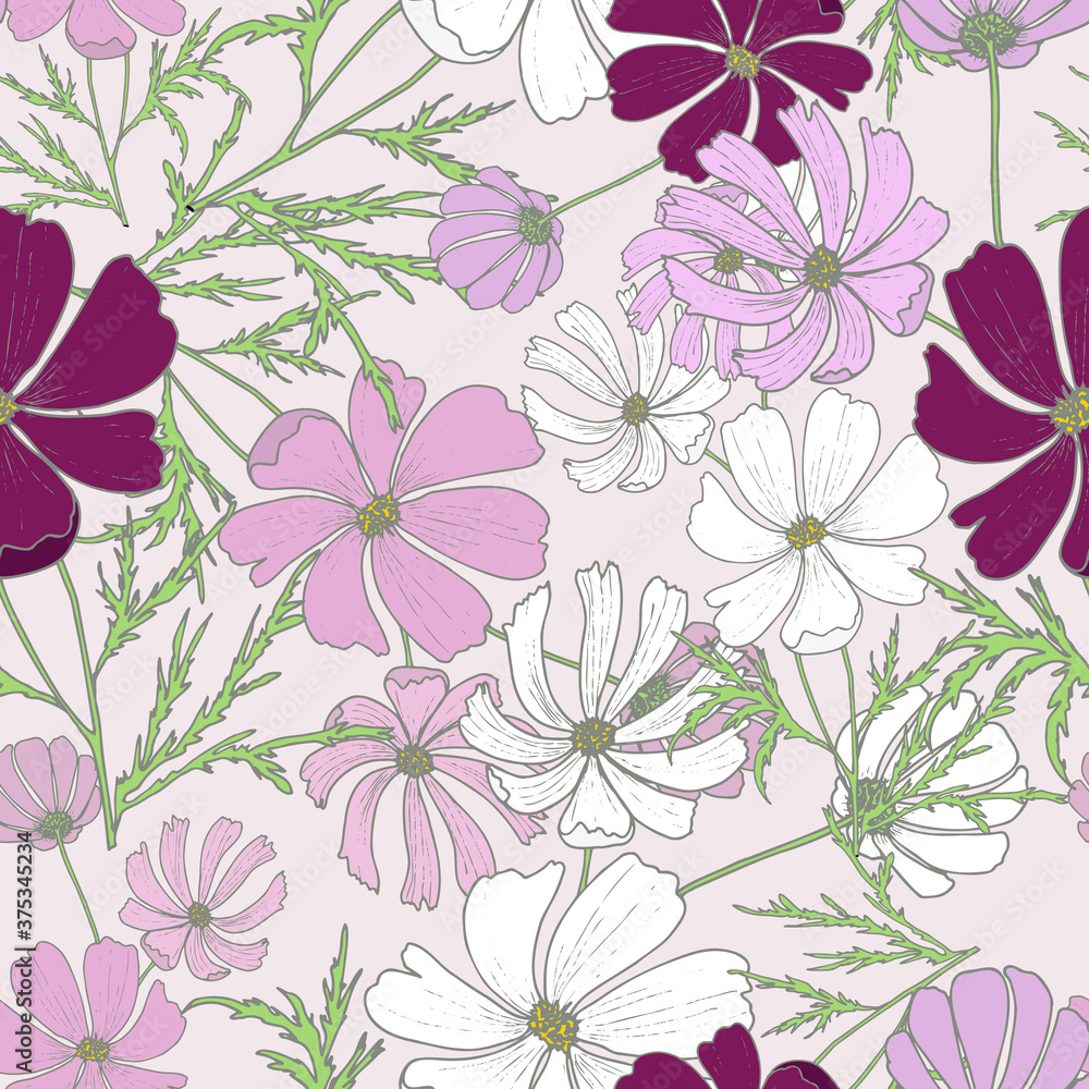 Art & Illustration. 
Seamless pattern of blooming multicolored kosmeya on a pale pink background