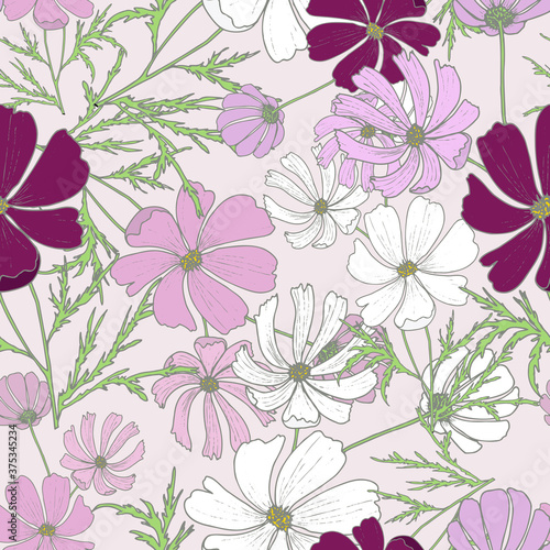 Art & Illustration. Seamless pattern of blooming multicolored kosmeya on a pale pink background